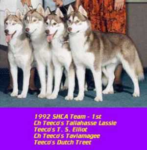 Click to view larger picture picture